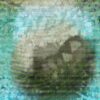Photo of Metamere